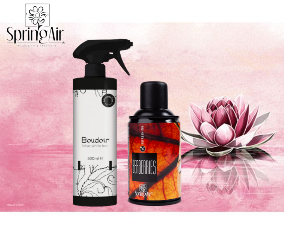 Pachet Odorizare Berberries/Lotus White Tea -Rezerva odorizanta 250ml+Odorizant ambiental 500ml