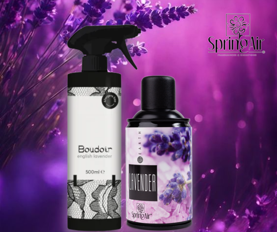 Pachet Odorizare Lavanda -Rezerva odorizanta 250ml+Odorizant ambiental 500ml